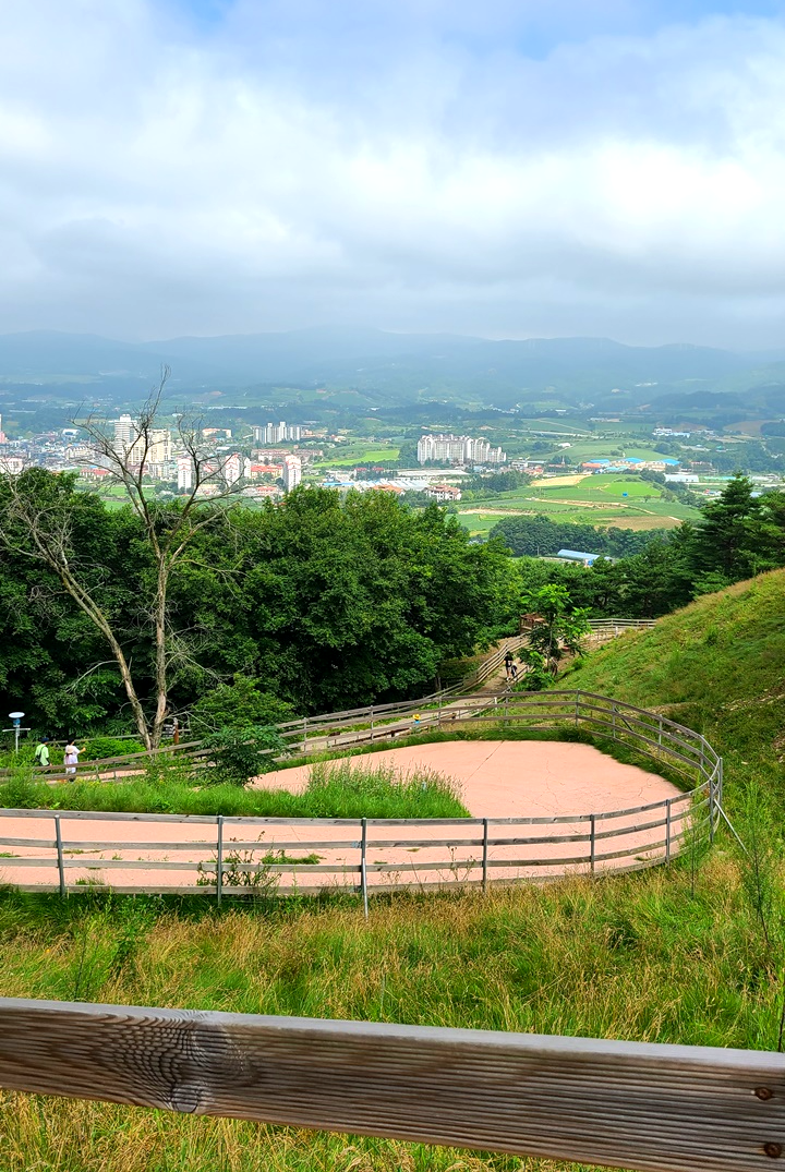 대관령-순수양떼목장-하늘전망대