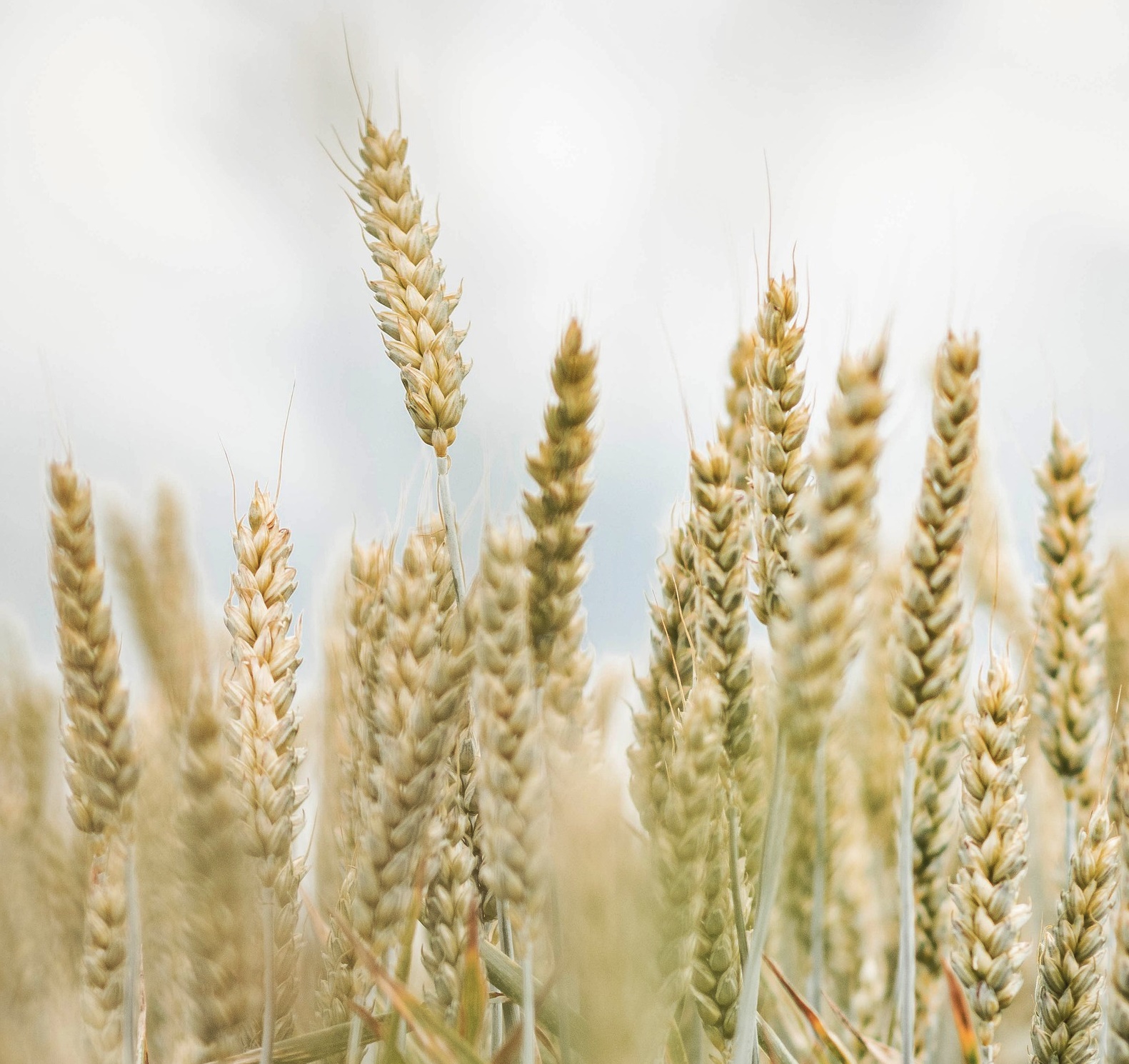 중년 1인가구, 병원 늦게 가는 습관이 가장 위험한 이유!