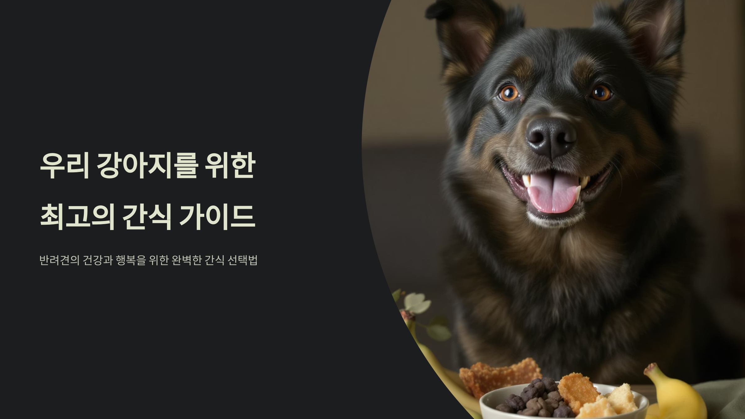 반려견 영양간식 스마트한 선택법