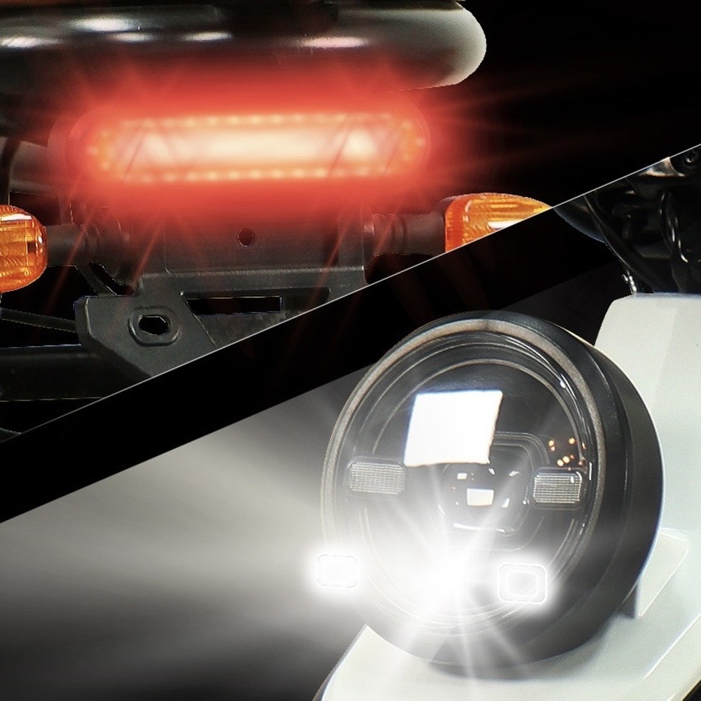 레이윙 디스커버리 와일드 강아지 스쿠터 추천