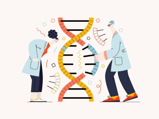 DNA 추출 과정 : 원리, 방법 및 실험적 응용