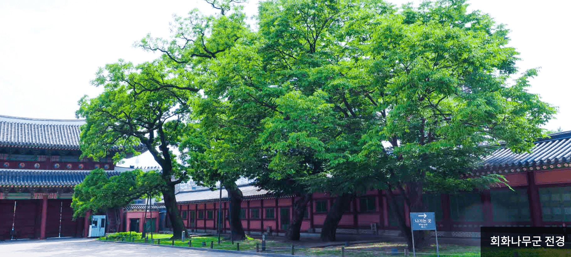 창덕궁 후원 예약 관람하기