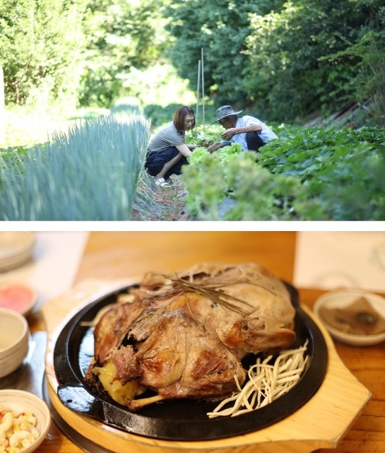 동네한바퀴-부천-연잎-오리진흙구이