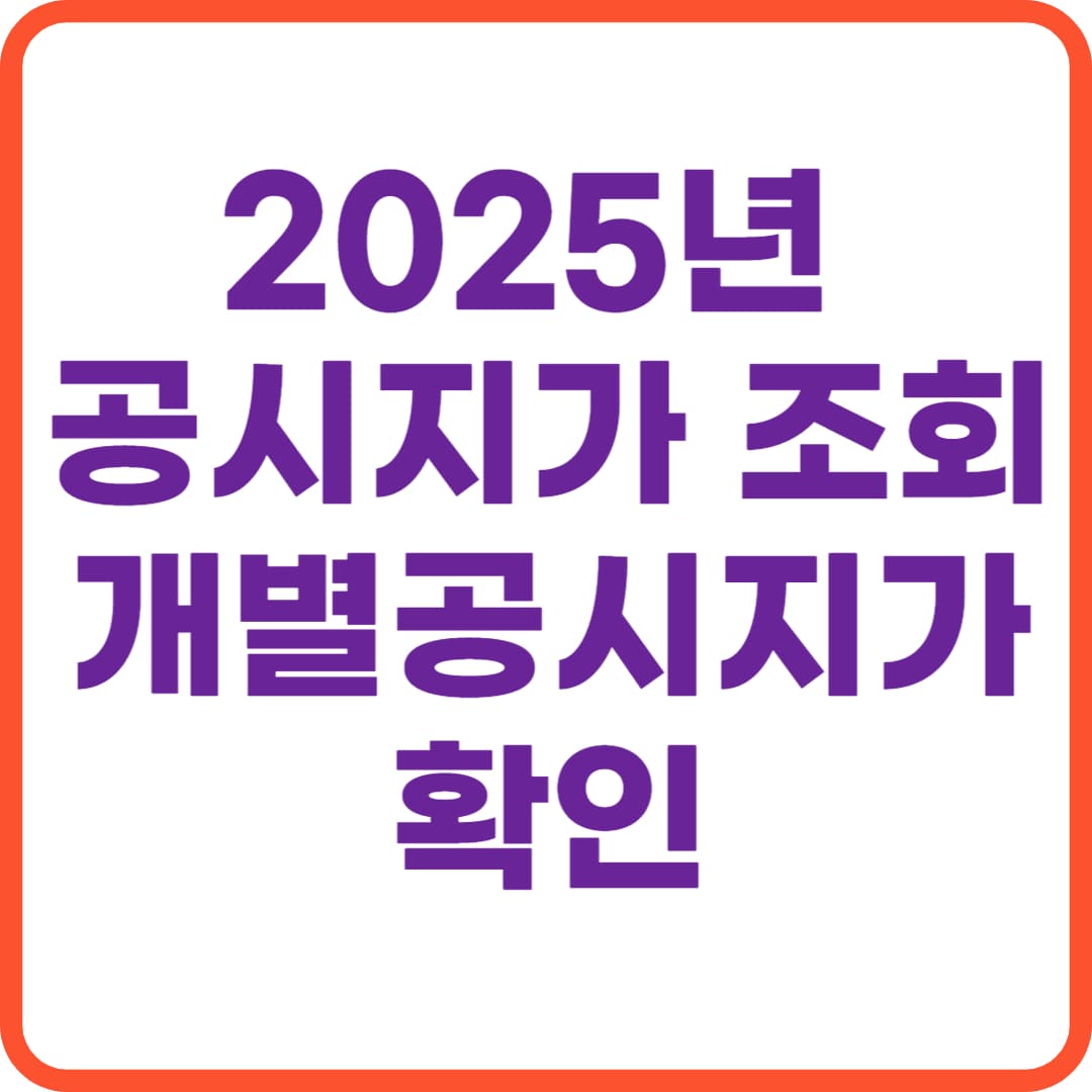 2025년 공시지가 조회 방법 개별공시지가 확인