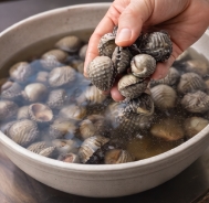 꼬막 해감 쉽게 하는 법