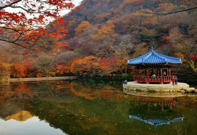 2025 내장산 단풍 절정시기 & 난이도별 등산코스 TOP 5 완벽 정리