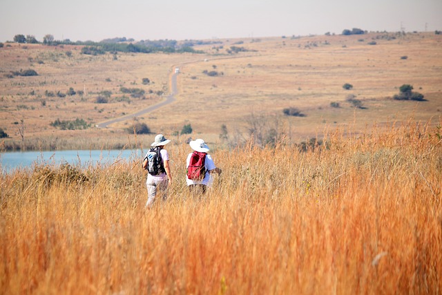 숲나들e 활용 꿀팁 가이드: 전국 자연휴양림 완전정복