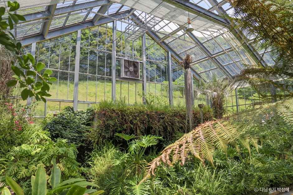 완도 가볼만한곳 베스트10