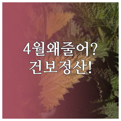 4월 월급이 줄었다면 건강보험료 연말..