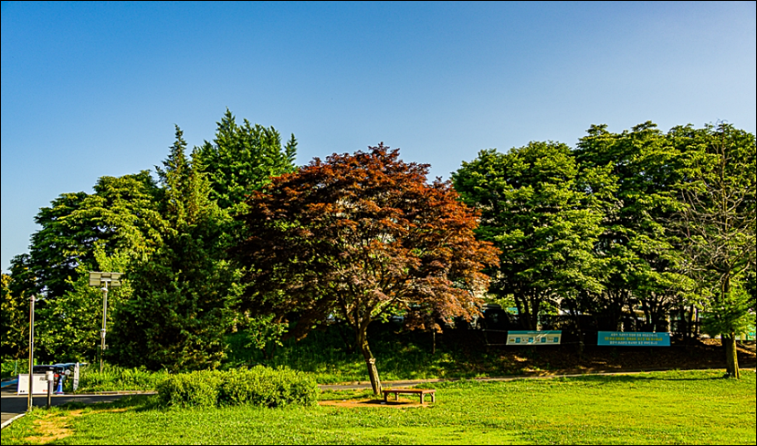경기상상캠퍼스-전경