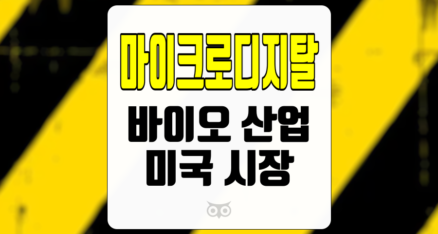 마이크로디지탈, 미국 시장 진출의 기회와 도전