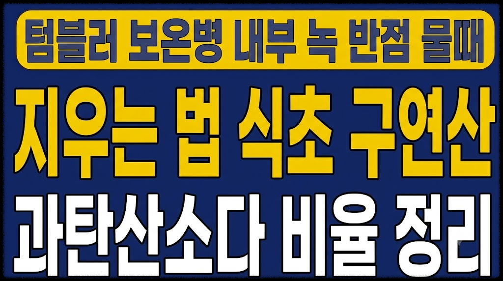 텀블러 보온병 내부 녹 반점 물때 지우는 법 식초 구연산 과탄산소다 비율 정리
