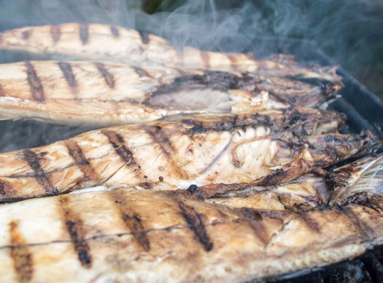 임산부 오메가 3