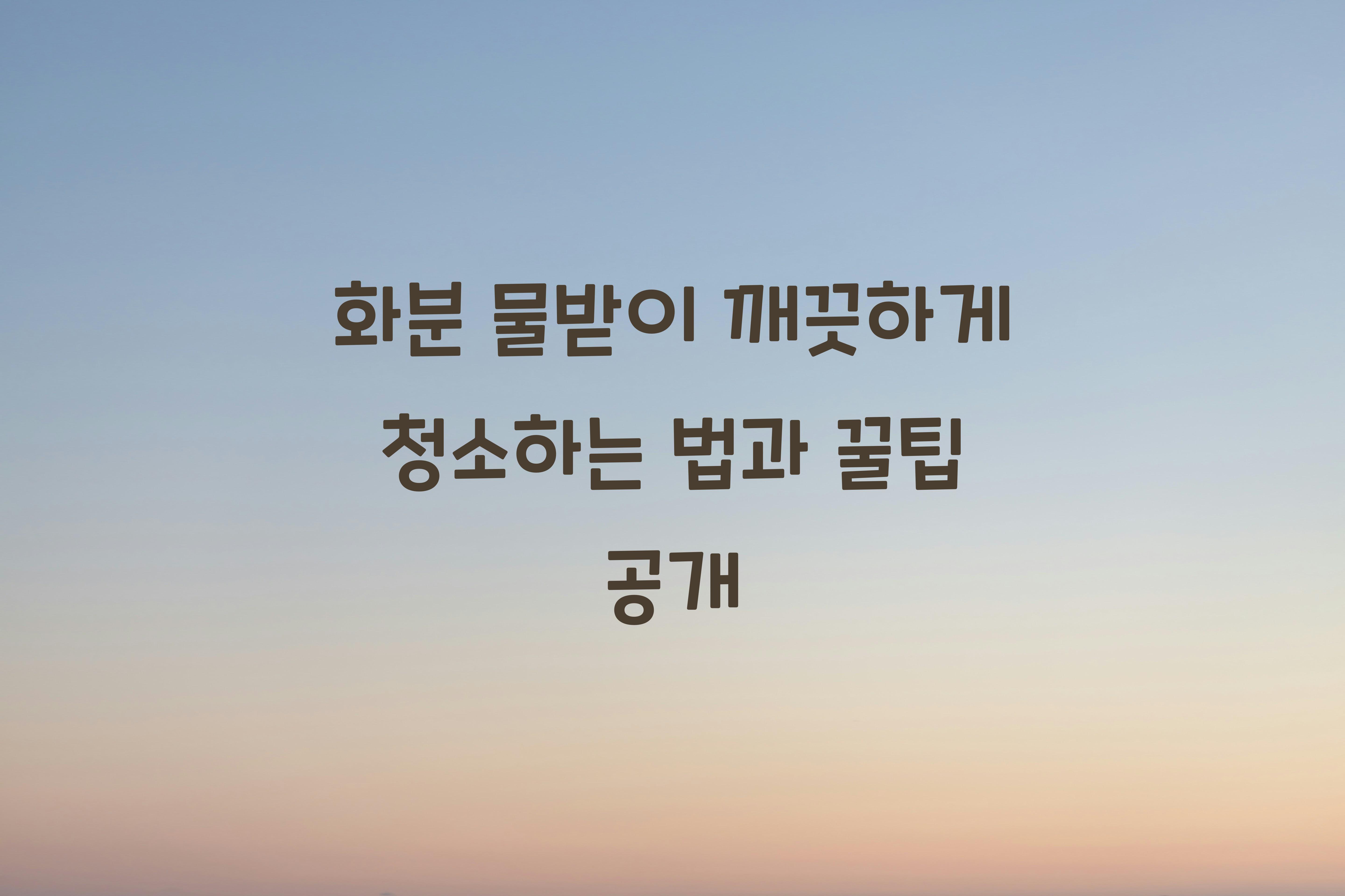 화분 물받이 깨끗하게 청소하는 법