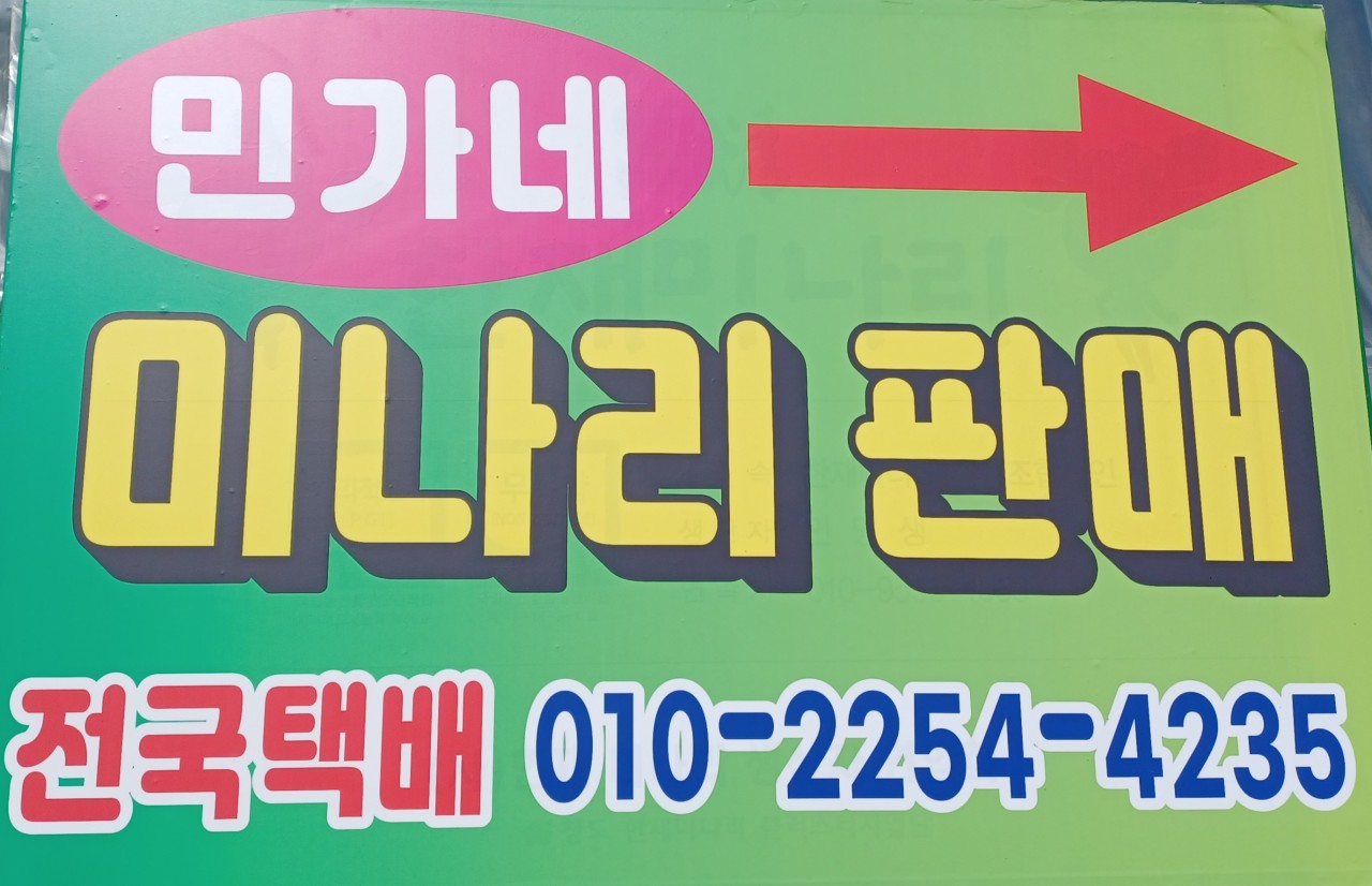 6시내고향 미나리