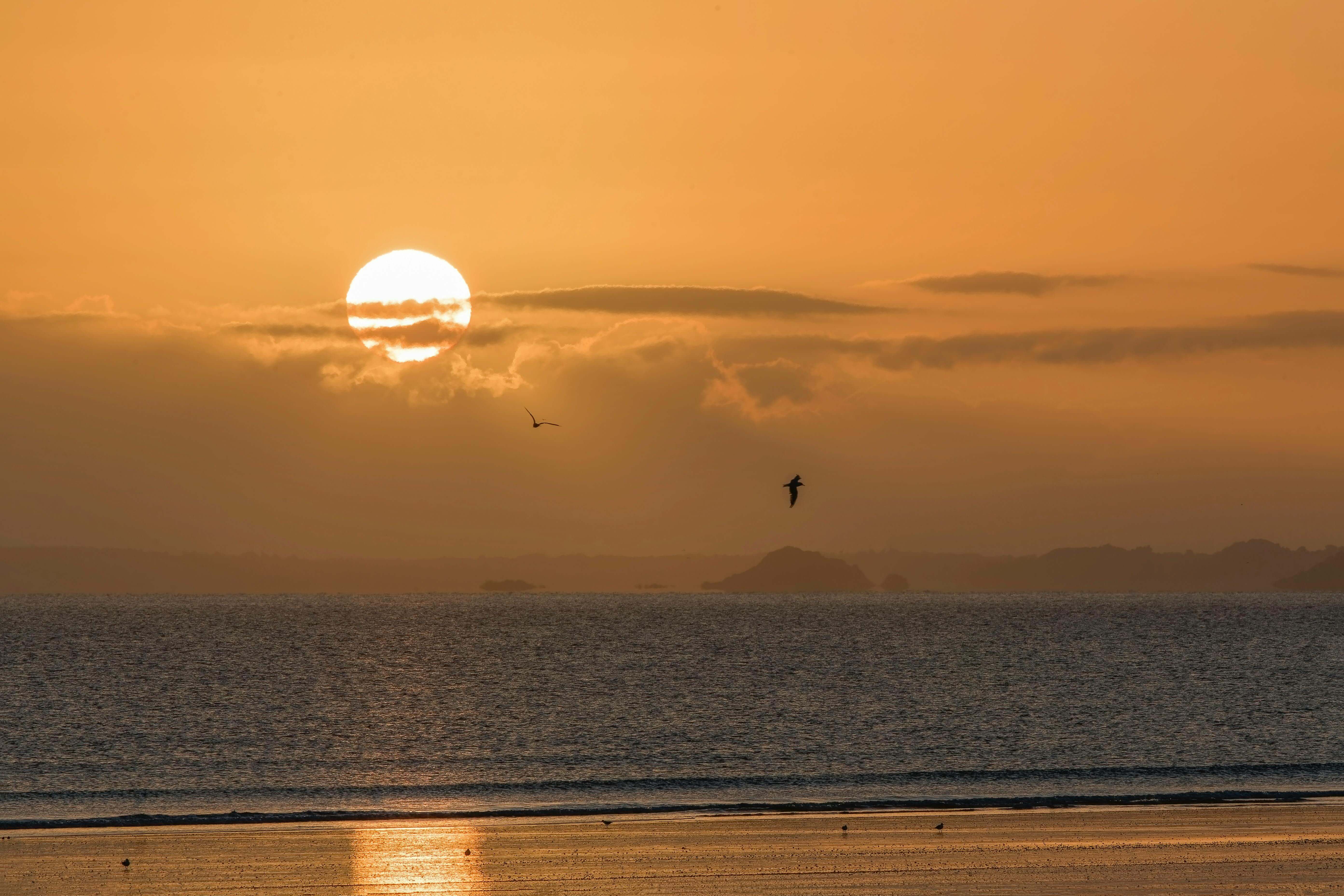 2026년 해돋이 명소 추천