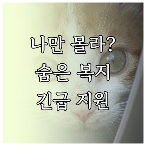 나에게 맞는 복지 혜택 찾아주는 복지..