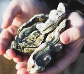 아연 하루 권장량 성인 필요량 섭취방법