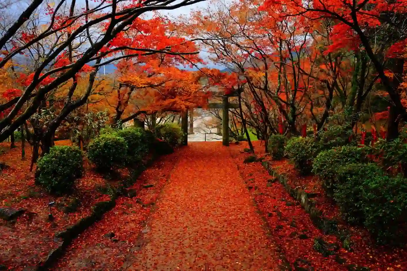 가마도 신사