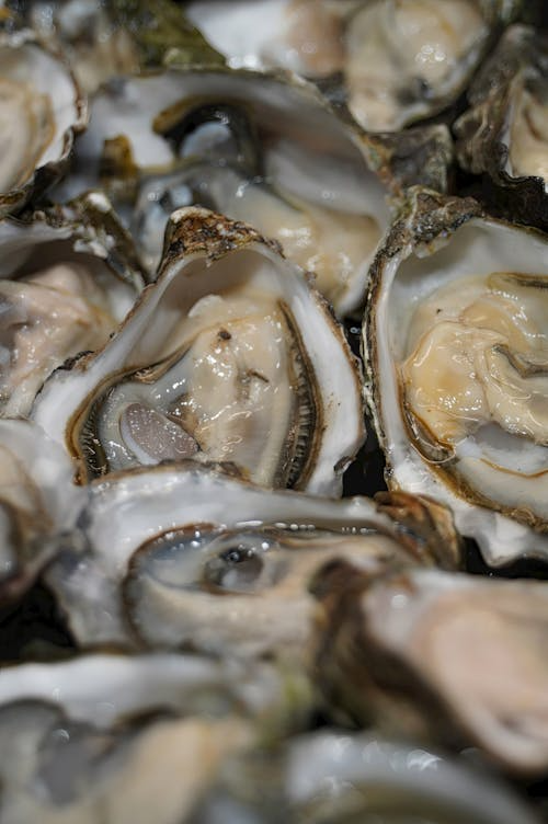 노로바이러스 원인.증상.치료