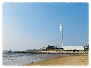 방아머리해변 