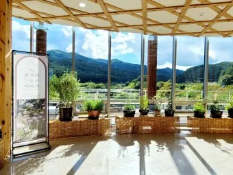 봉화 가볼만한곳 베스트10 현지인 추천 필수코스_12