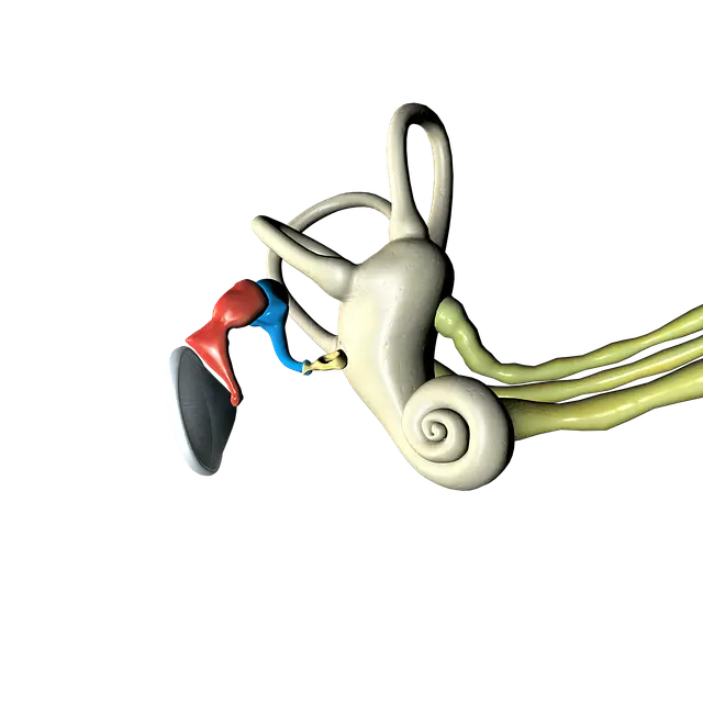 중이염 원인과 치료