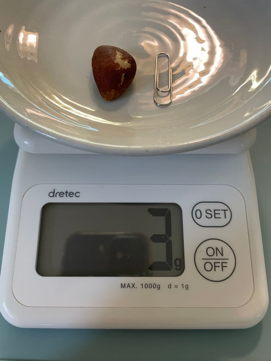 브라질너트 하루 섭취량, 권장량 - 3g, 1알 작은 것 계량