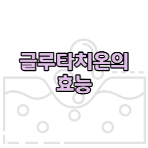 이미지 썸네일