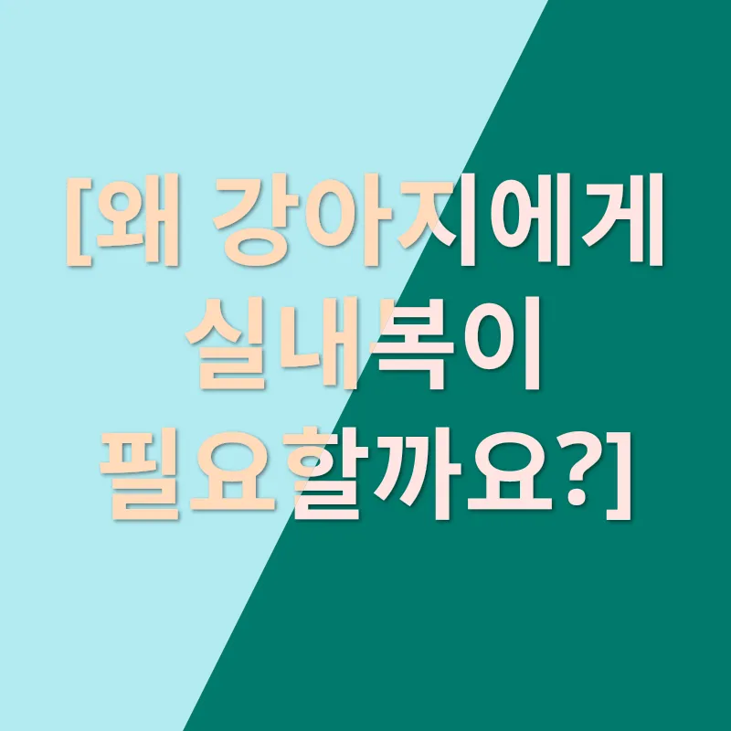강아지 실내복_1