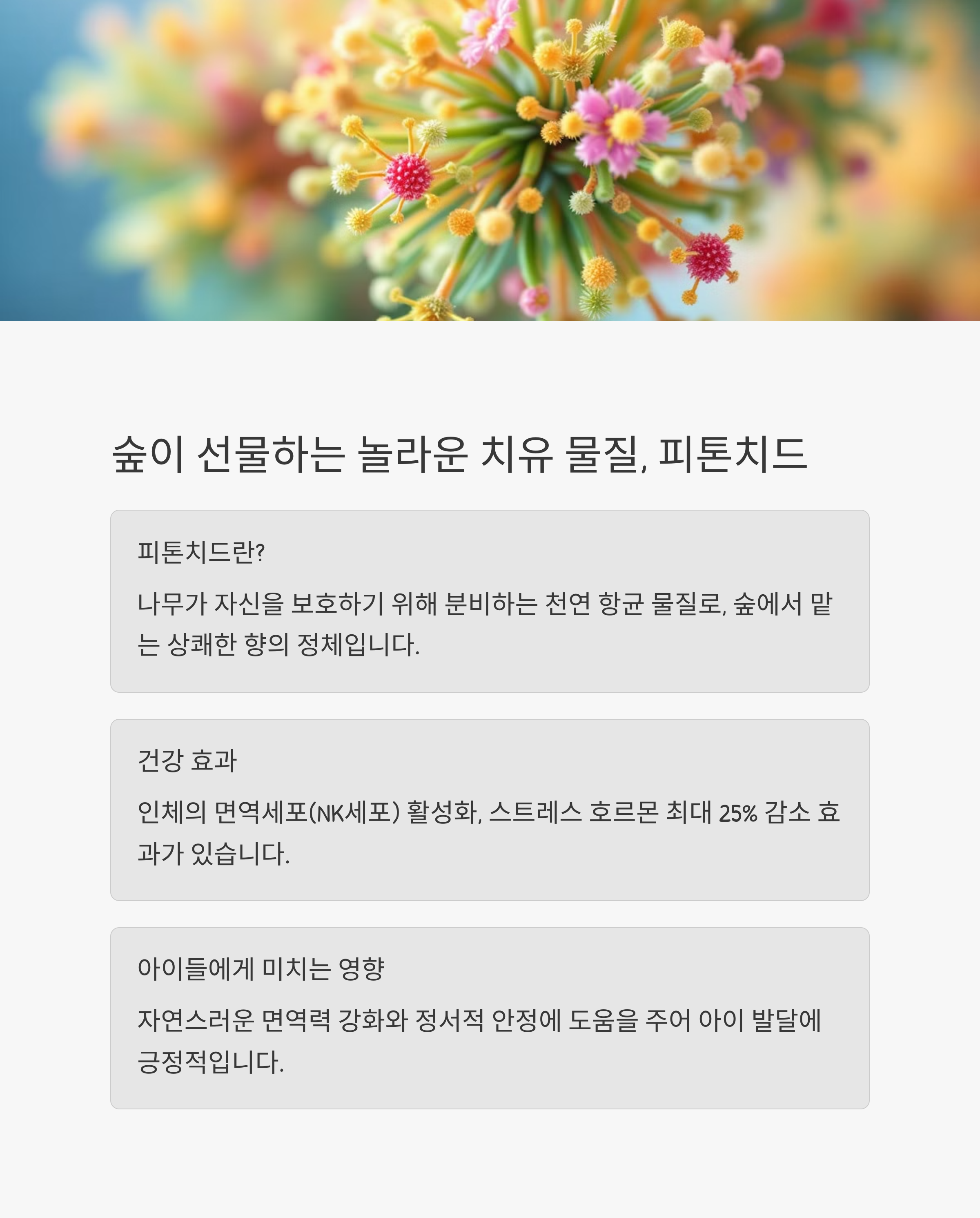 아이와 함께하는 자연휴양림&amp;#44; 피톤치드 제대로 누리는 법 