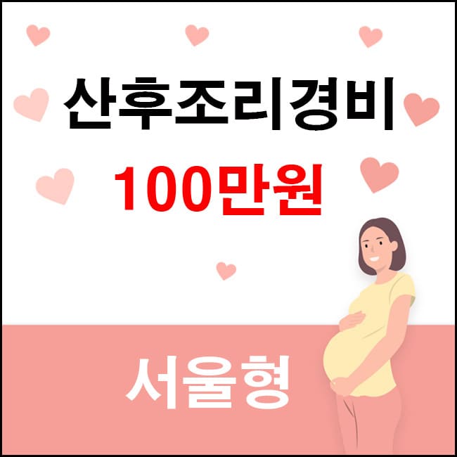 서울 산후조리경비지원 대표이미지