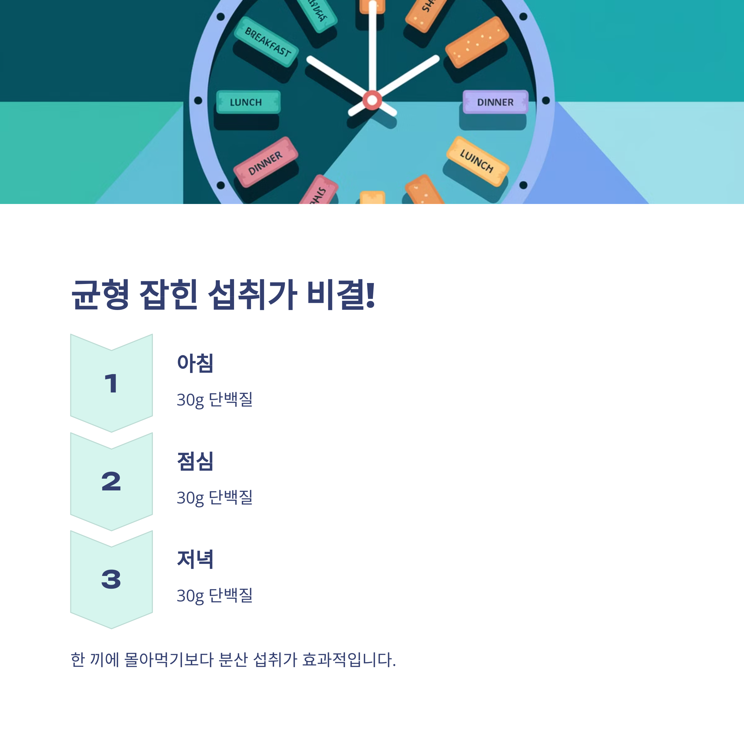 근육 감소를 막는 단백질 섭취법 – 중년에게 필수!