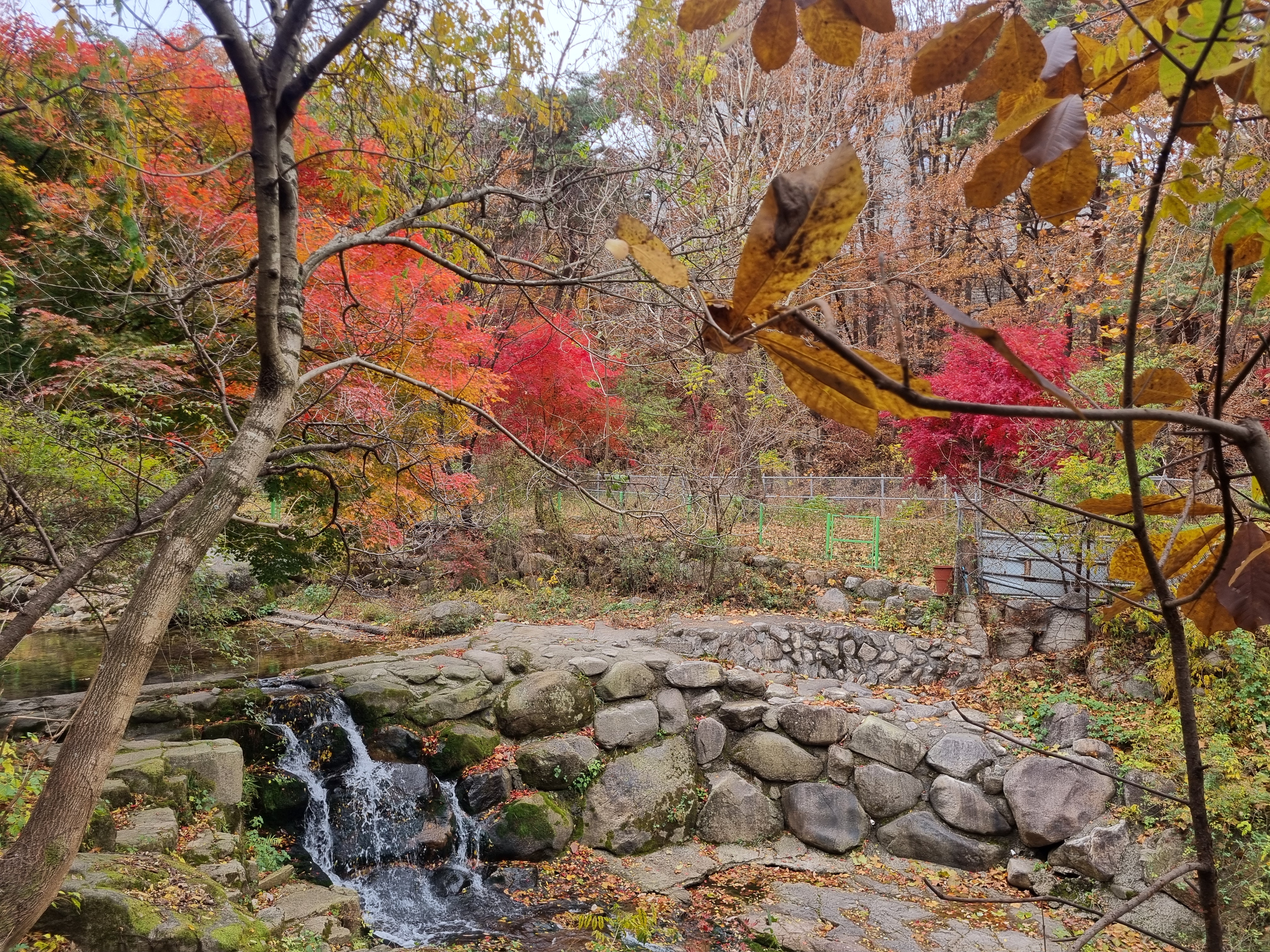 우이동 북한산 둘레길 단풍사진