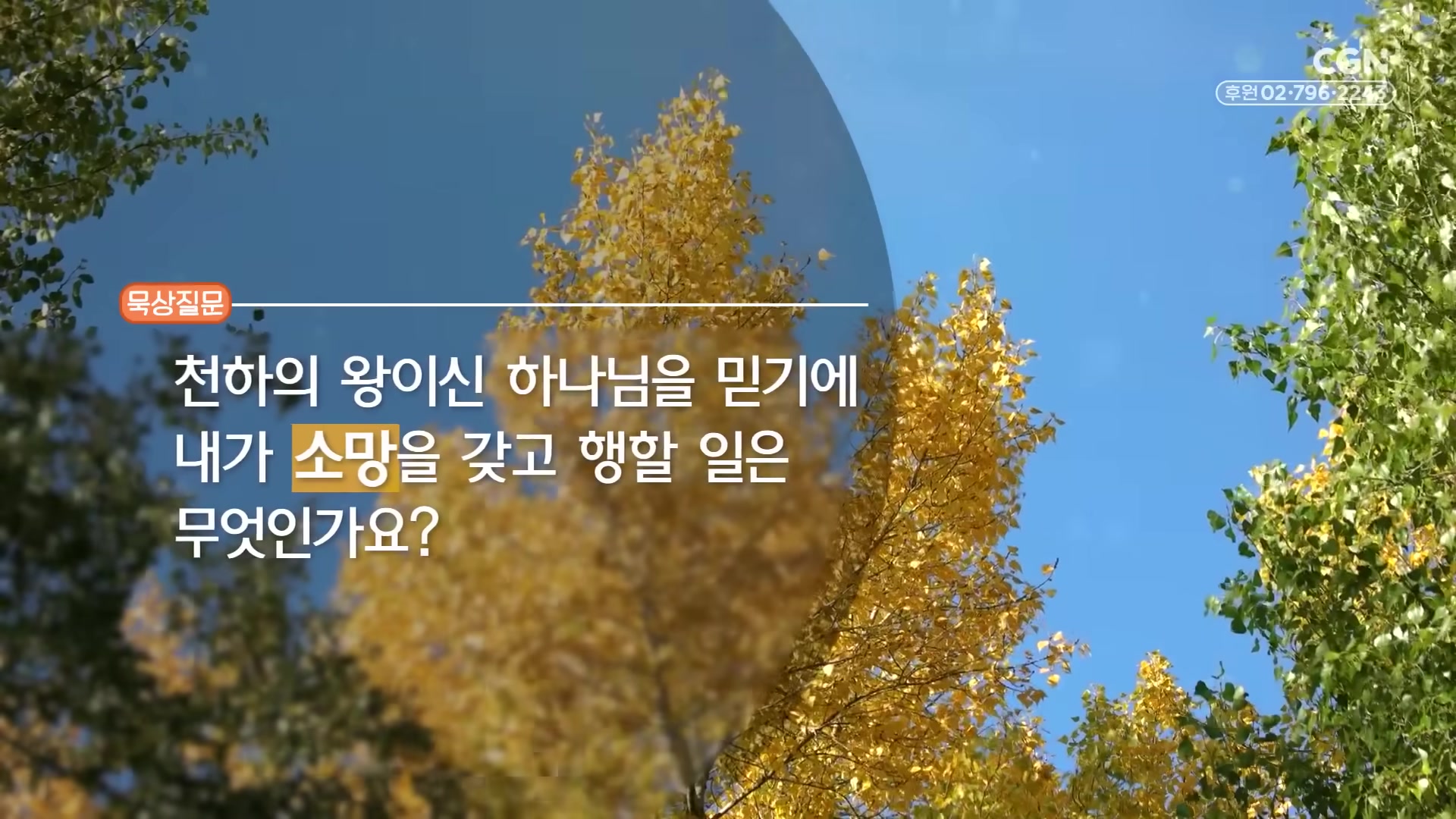 천하의 왕이신 하나님을 믿기에 내가 소망을 갖고 행할 일은 무엇인가요?