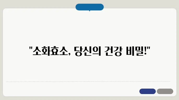 소화효소 효능 부작욠