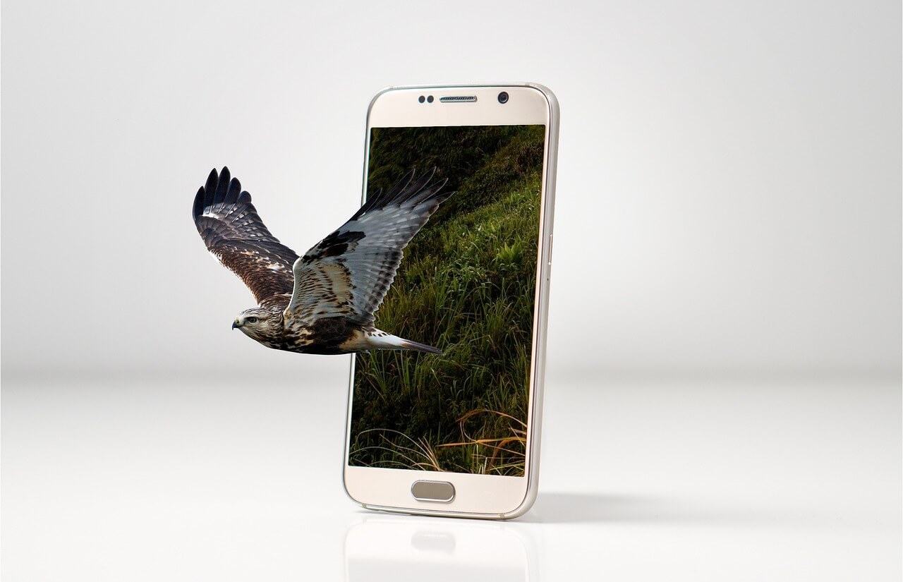 예방접종증명서 온라인 발급방법