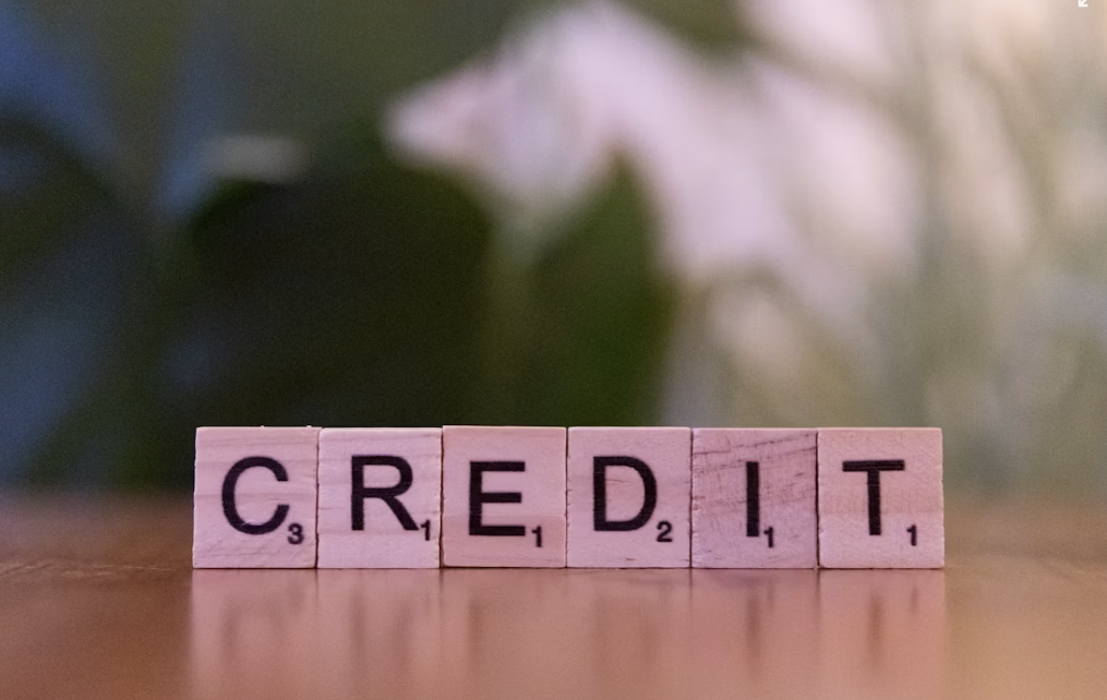 신용점수 하락 이유