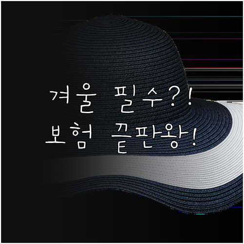 겨울 스포츠 안전 대비 1일 보험부터..