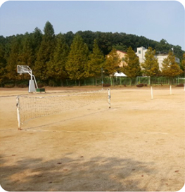 캠핑장 족구장 이미지 출처: 인천대공원 캠핑장 홈페이지