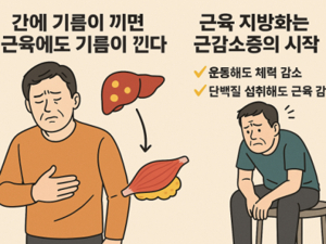헬스 단백질