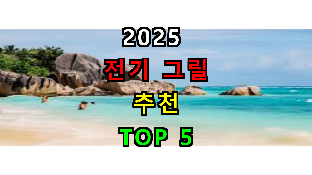 2025 전기그릴 추천 TOP 5
