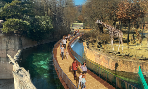 에버랜드 리버트레일