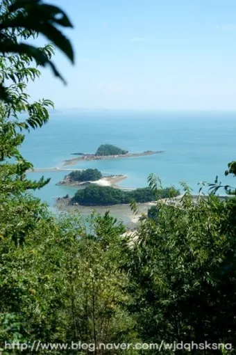 소야도 물때표 여행 낚시 해루질 배편_10