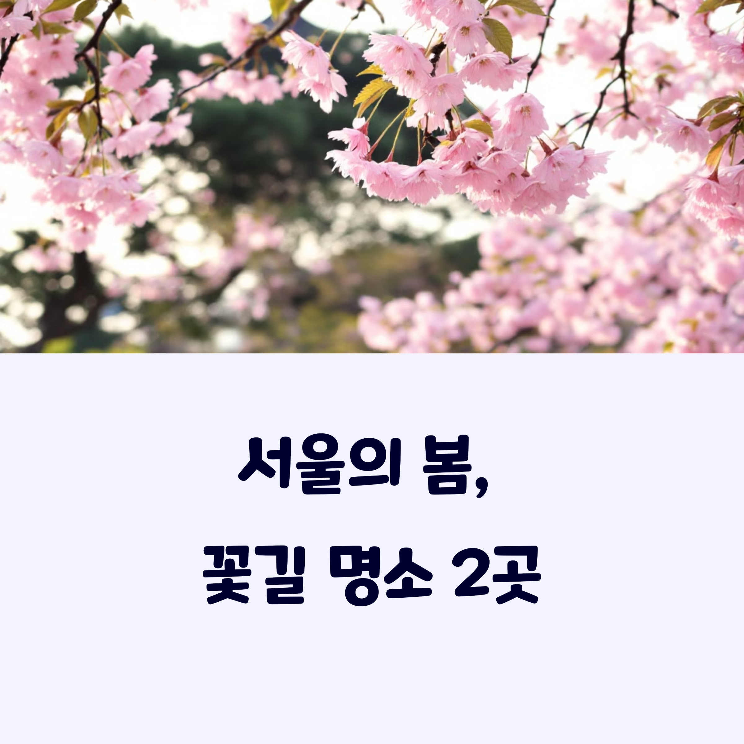 서울명소