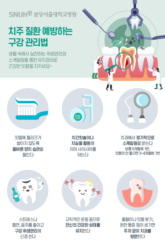 치주질환의 예방하는 구강 관리법