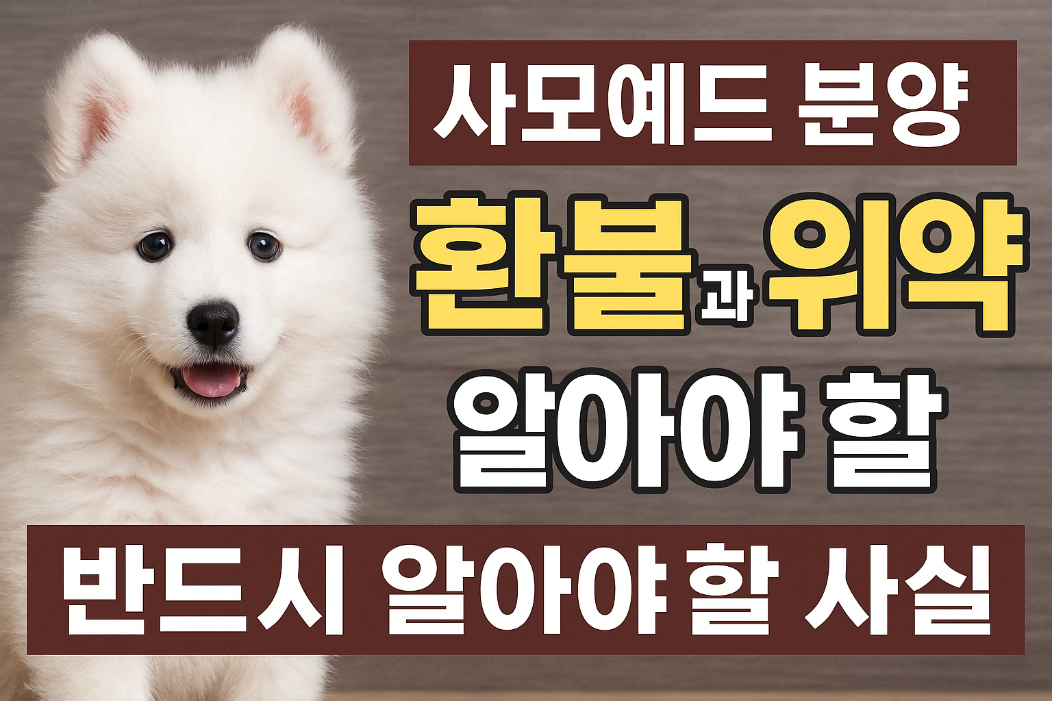 사모예드
