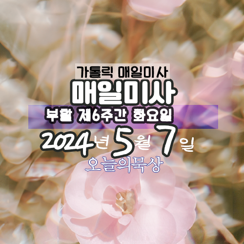 5월7일 매일미사