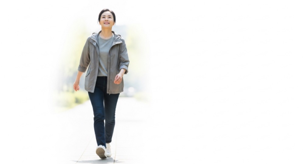 밀크씨슬 효능 활력 회복