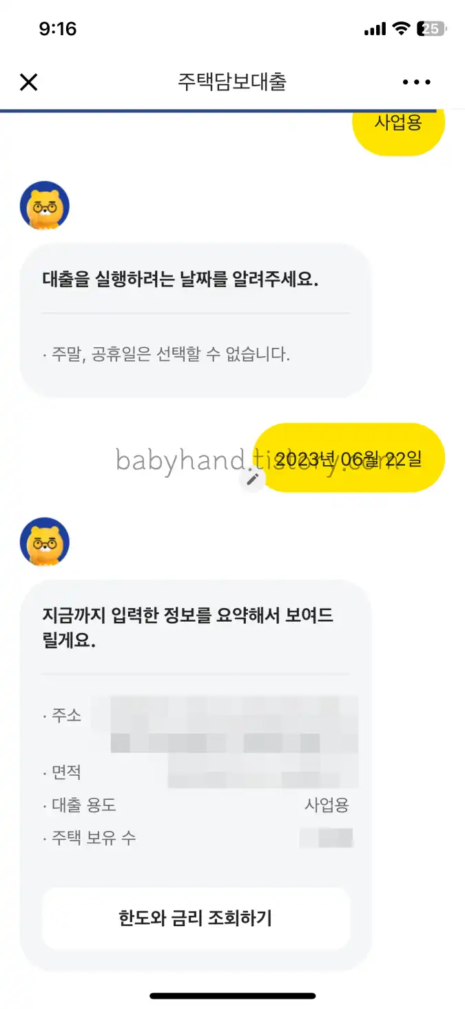 대출실행일-선택과-입력내용-요약
